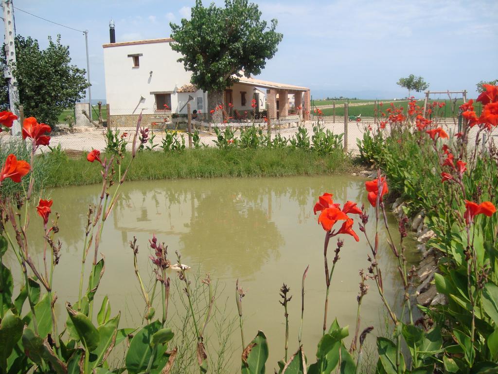 Caseta Les Creus Riumar Exteriér fotografie
