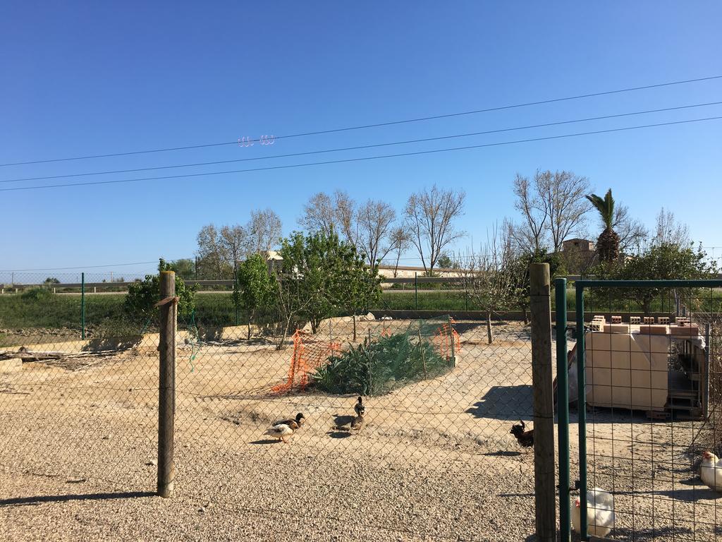 Caseta Les Creus Riumar Exteriér fotografie